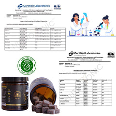 Made in USA label visible on NutroTonic Shilajit Gummies bottle.