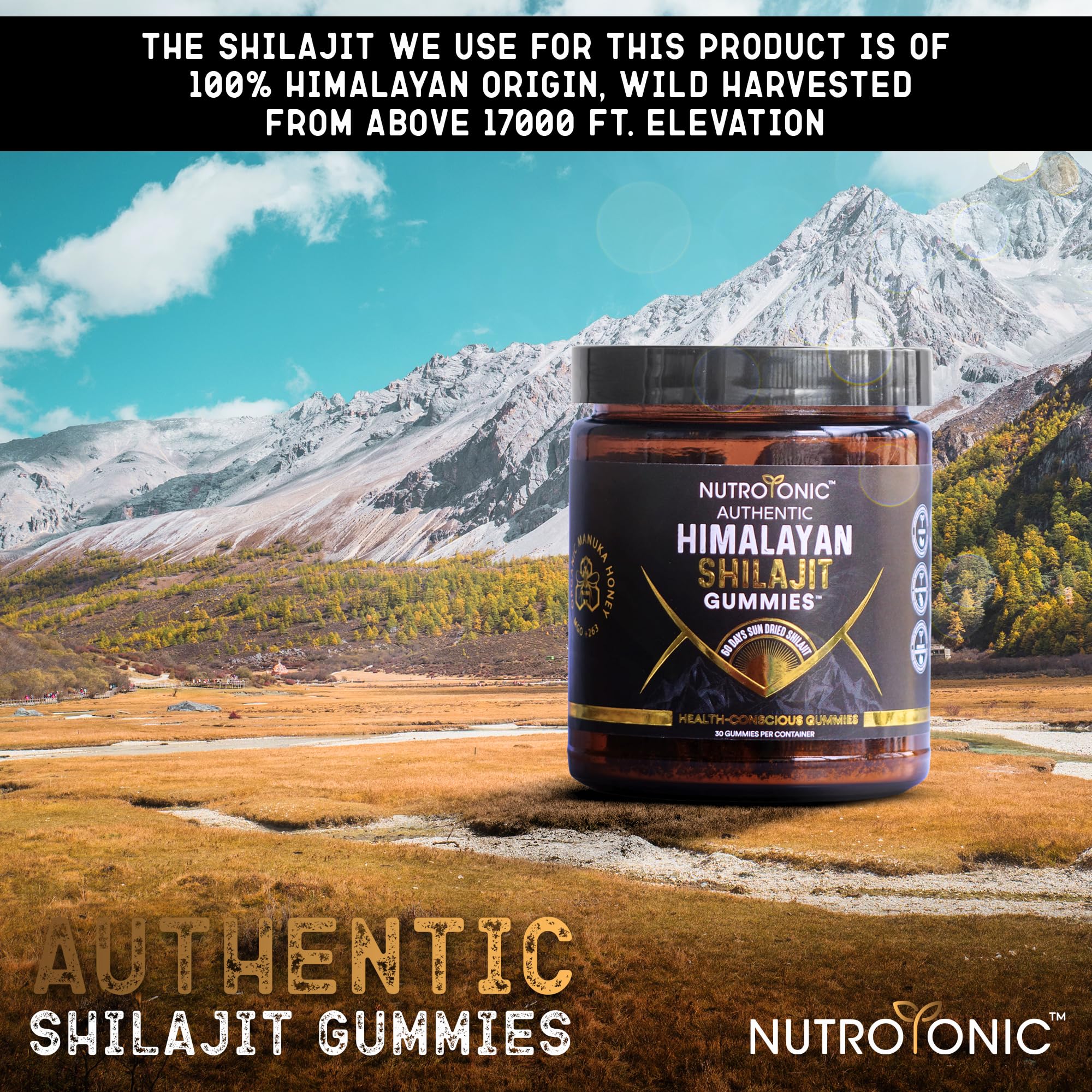 Manuka honey MGO logo with Shilajit gummies