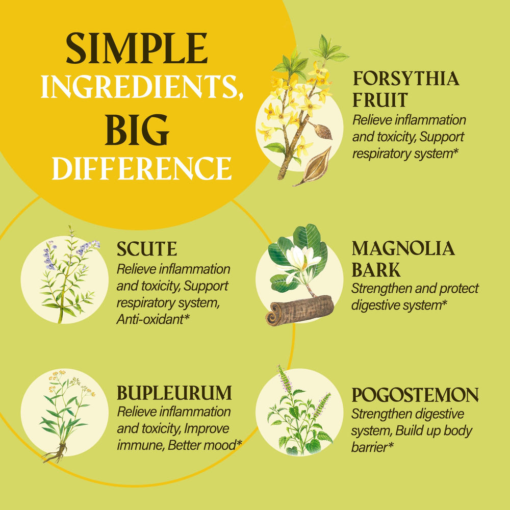 Wellness lifestyle with capsules and plant background