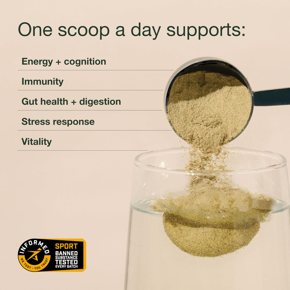 Packaging of Nuzest Greens Powder with scoop
