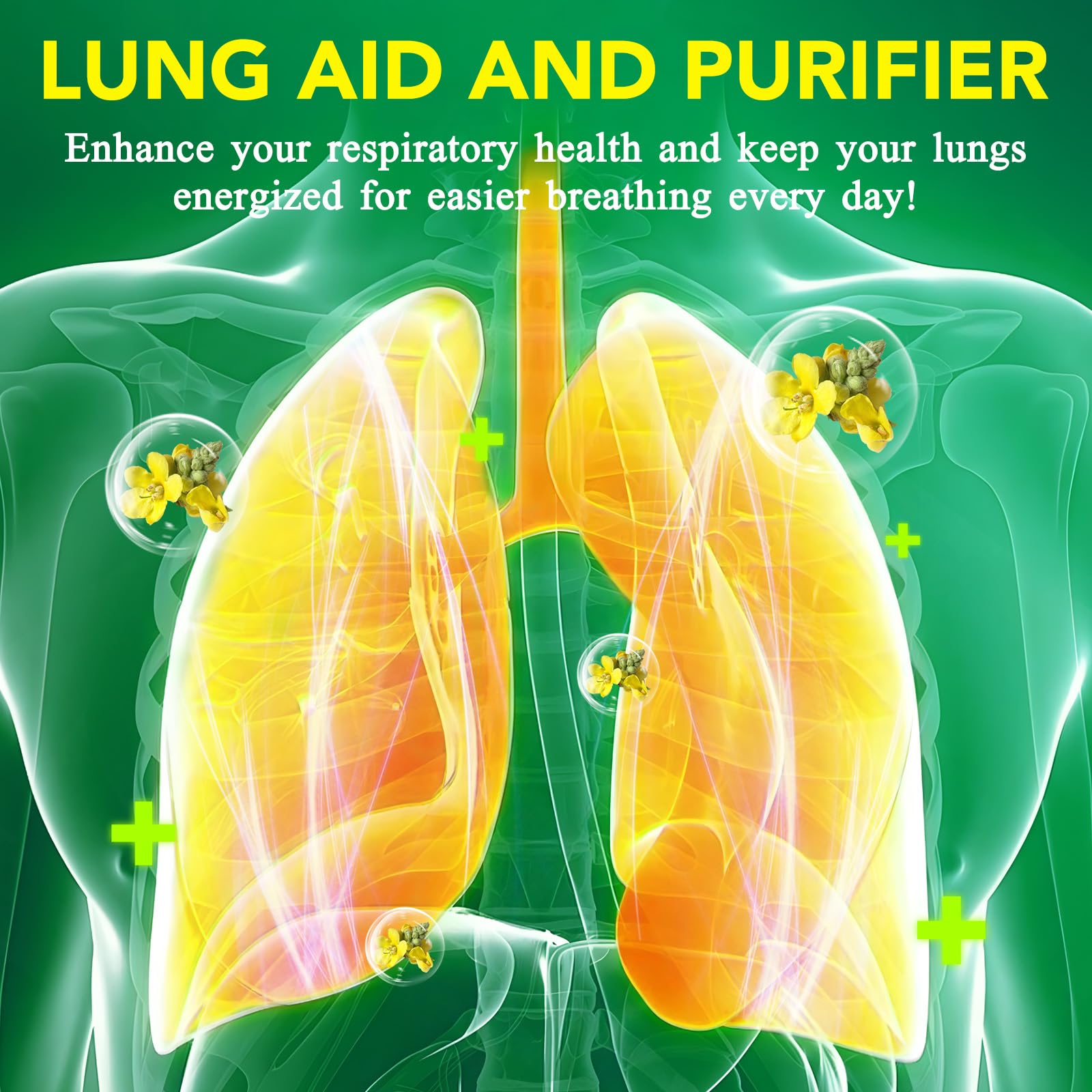 Lung health concept graphic with lungs illustration
