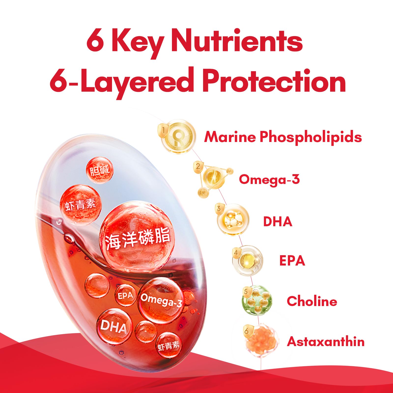 Antarctic waters source for NYO3 Krill Oil
