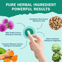 Silymarin antioxidant support image for NYO3 Liver Detox