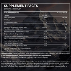 Shilajit Gummies with Ashwagandha and Gokshura ingredients