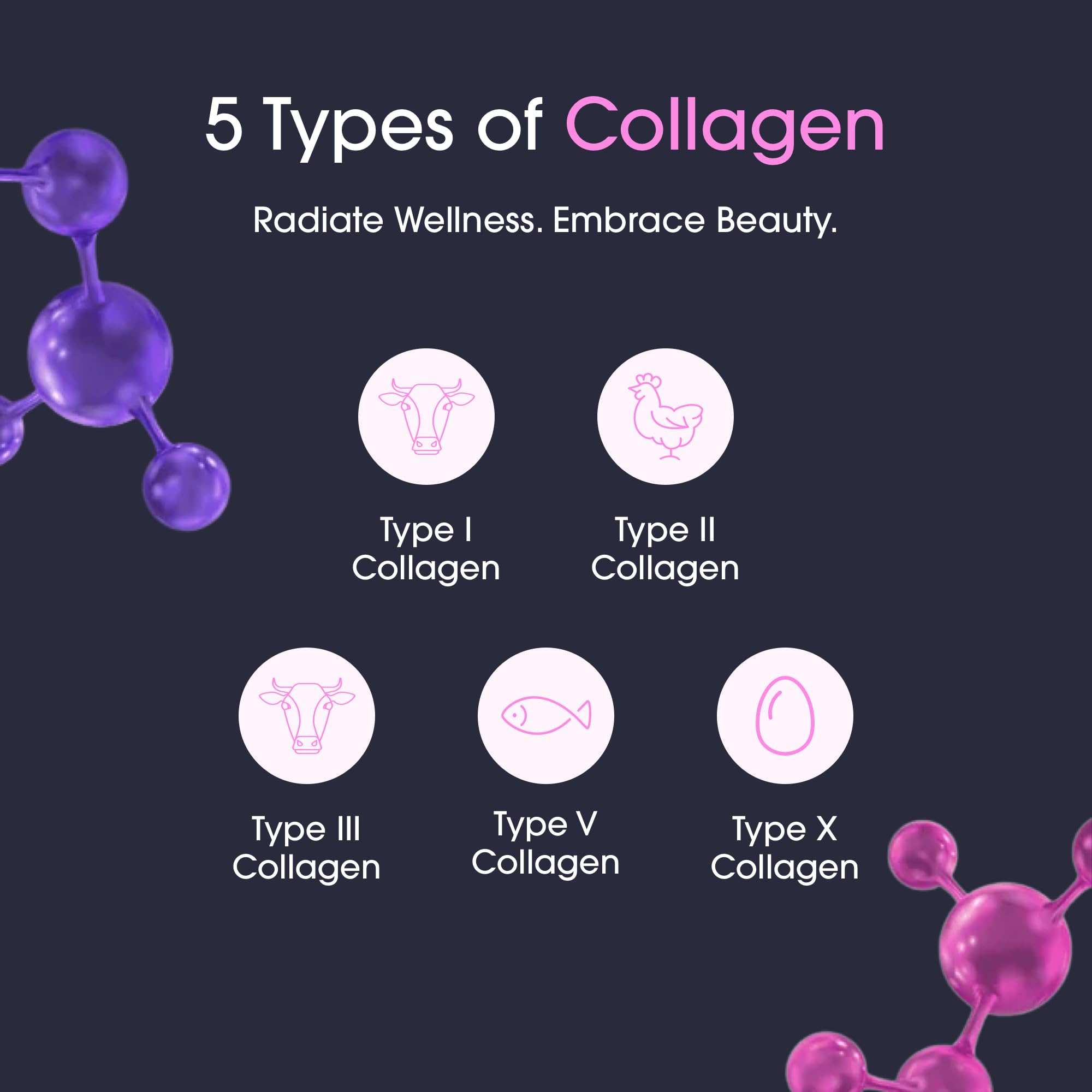 Illustration of five collagen types in Obvi Burn Elite