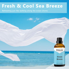 Close-up of Ocean Breeze label on amber bottle