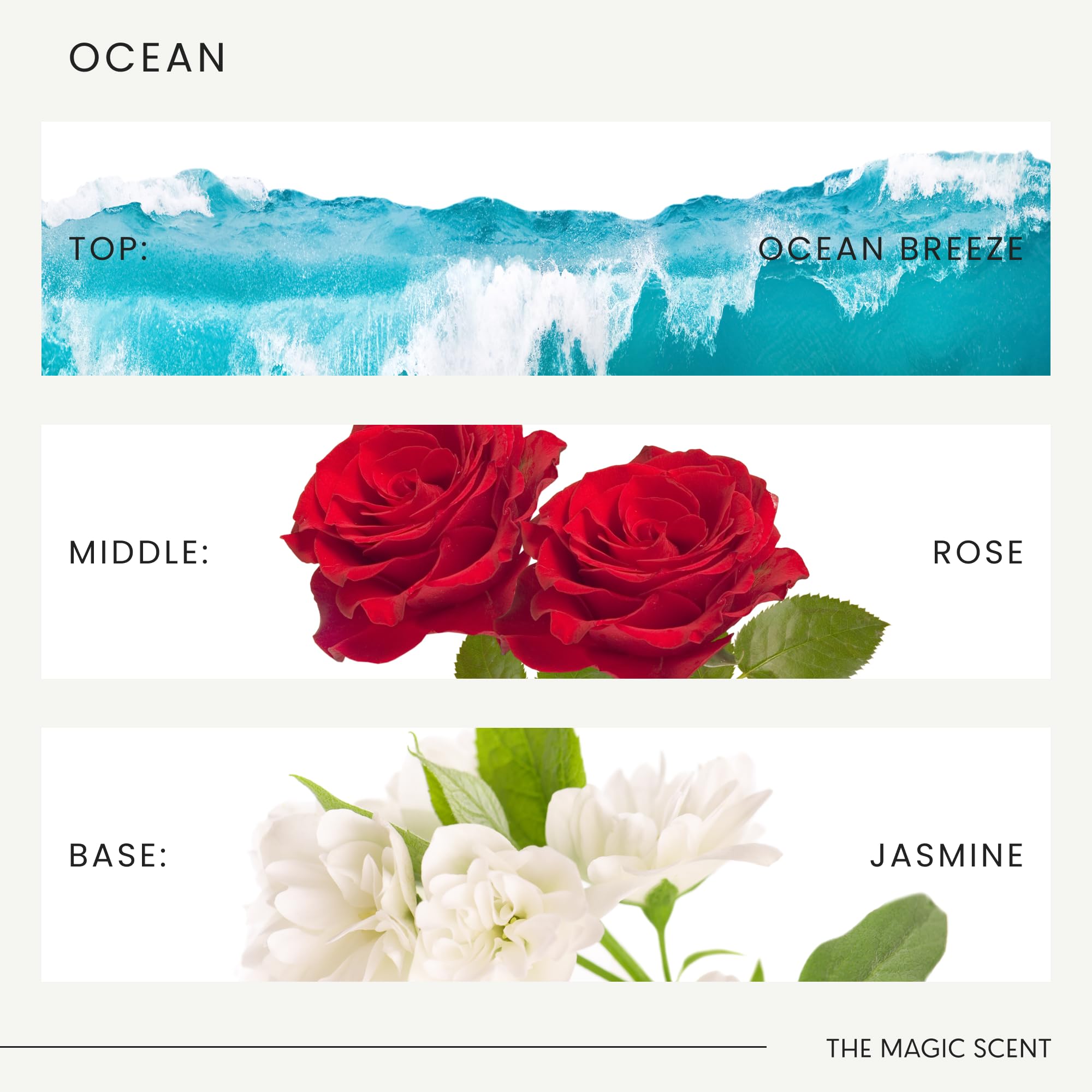 Base notes imagery: Clove Wood, Jasmine, Vanilla, Sweet Melon