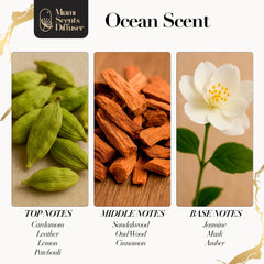 Cardamom aroma note in Ocean My Way Scent