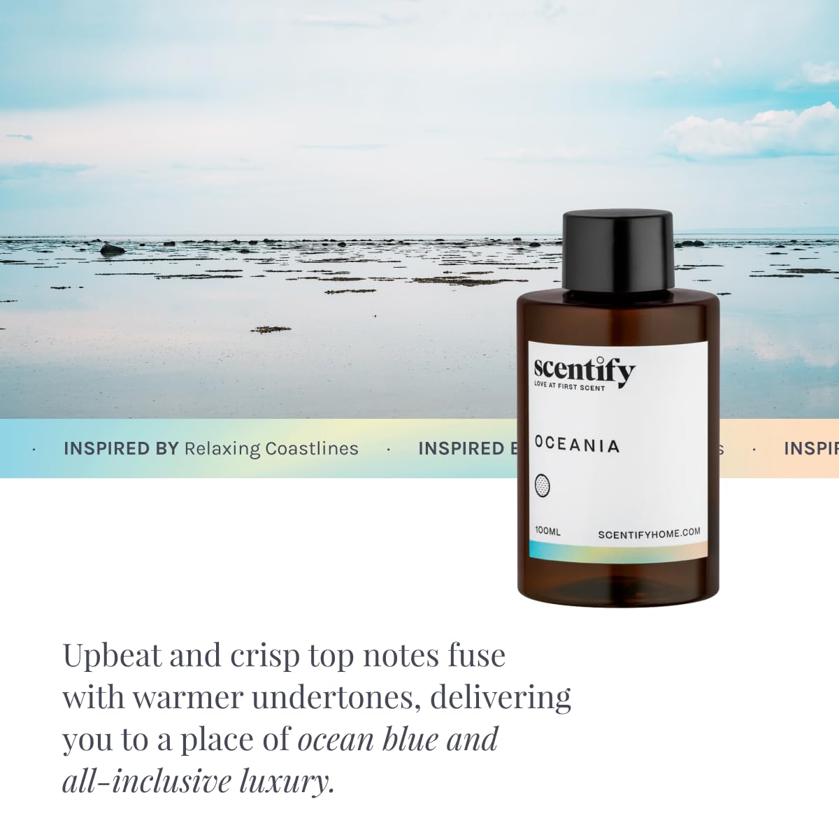 Oceania diffuser oil in a calm room ambiance