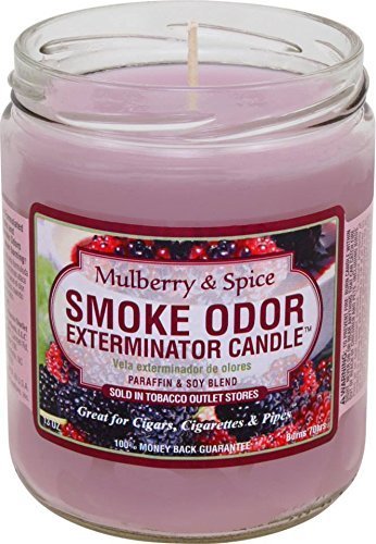 Mulberry and Spice Odor Exterminator Candle 13oz by Smokers Candle