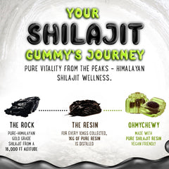 Lab-tested purity seal on Shilajit Gummies