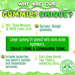 Nutritional panel and ingredients of Shilajit Gummies