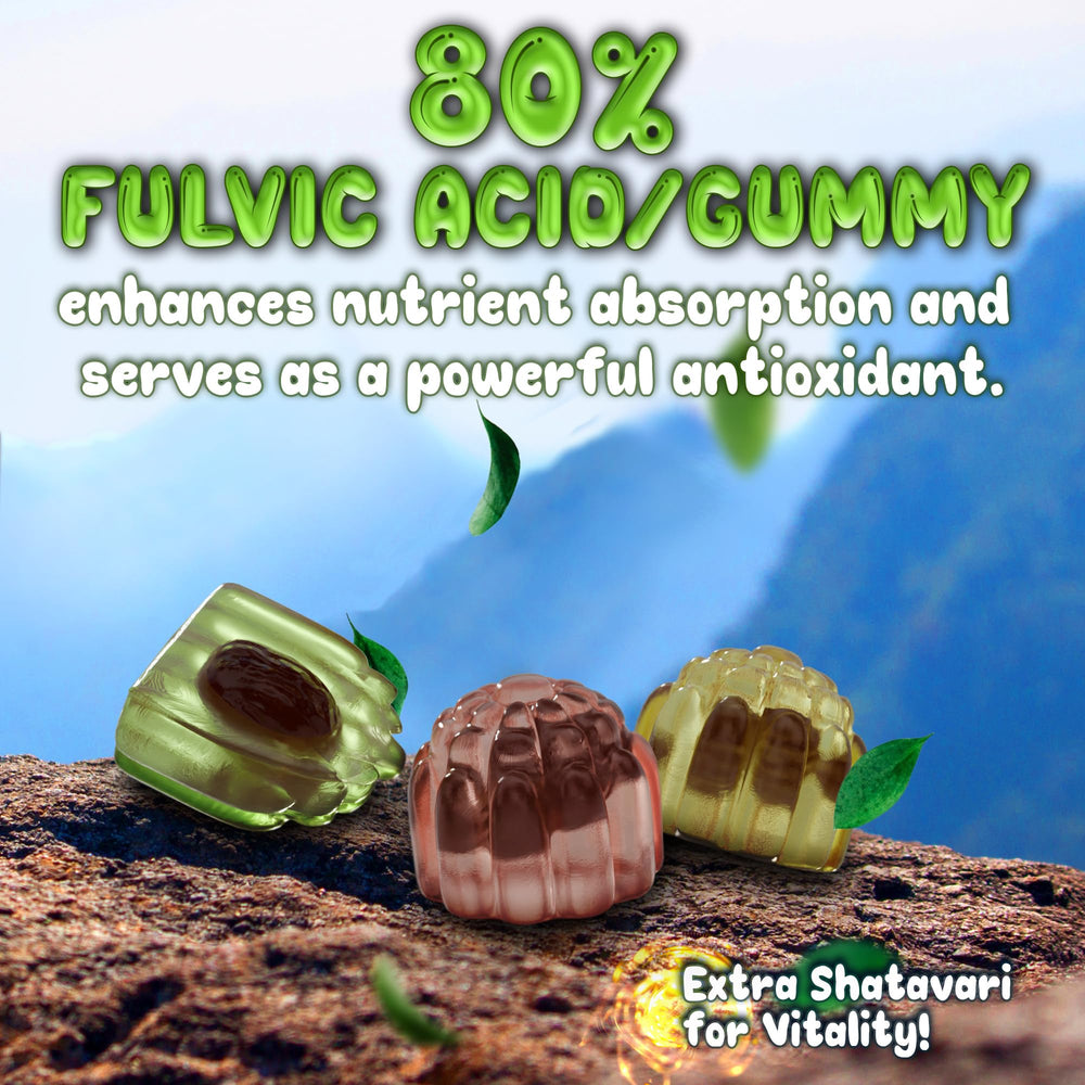 Gummy duo featuring Shilajit, Ashwagandha and Shatavari with fruit flavor