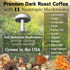 OhmYes 1111 mushroom coffee cacao spoon with mushrooms and cacao ingredients.