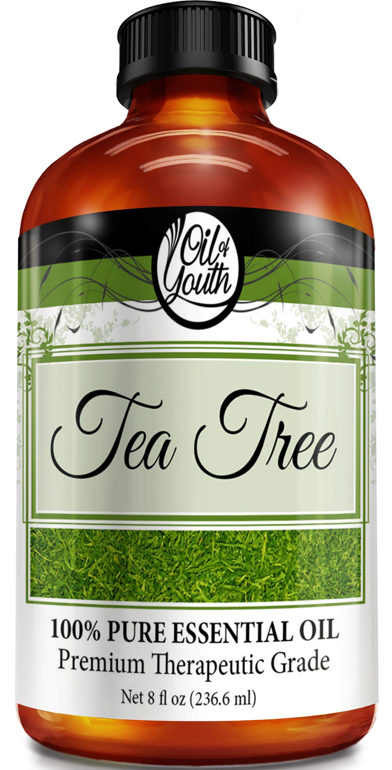 Oil of Youth Tea Tree Essential Oil 8 oz bottle on white background
