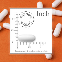 OKG bioavailability infographic