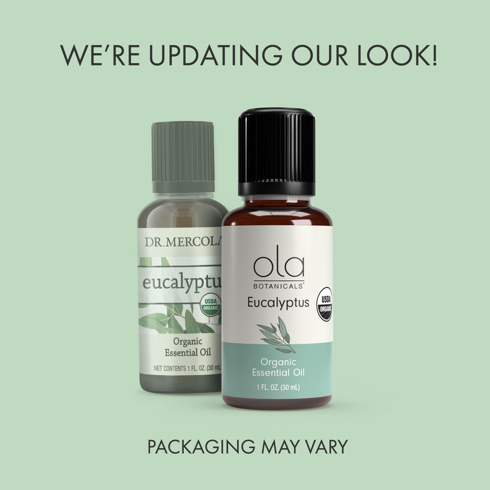 Ola Botanicals Eucalyptus leaves closeup highlighting natural freshness and scent.