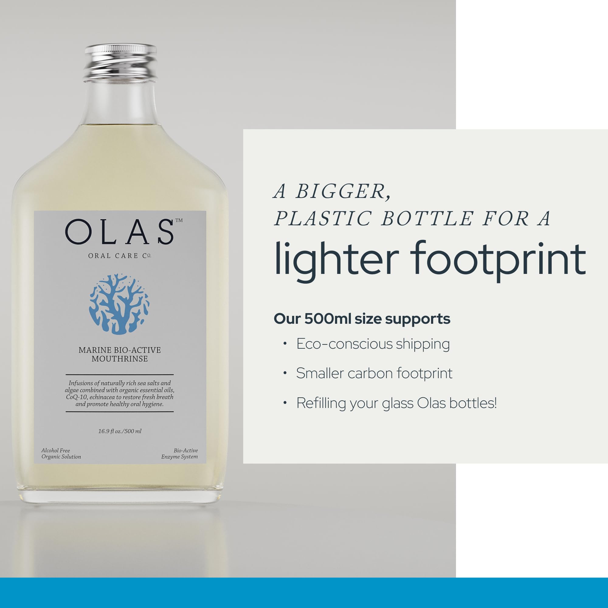 Marine complex ingredients including blue-green algae and seaweed for teeth and gums