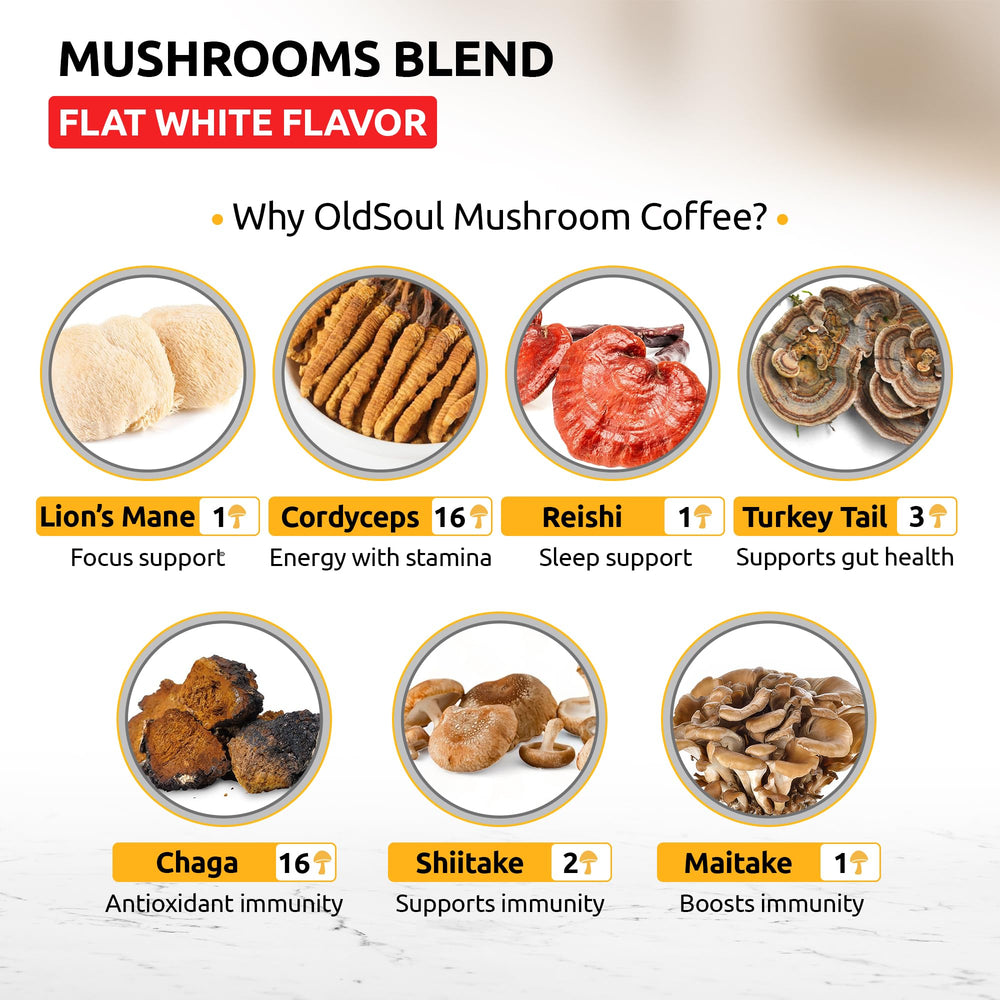 Five mushroom blend ingredients: Lion’s Mane, Cordyceps, Turkey Tail, Reishi, Chaga