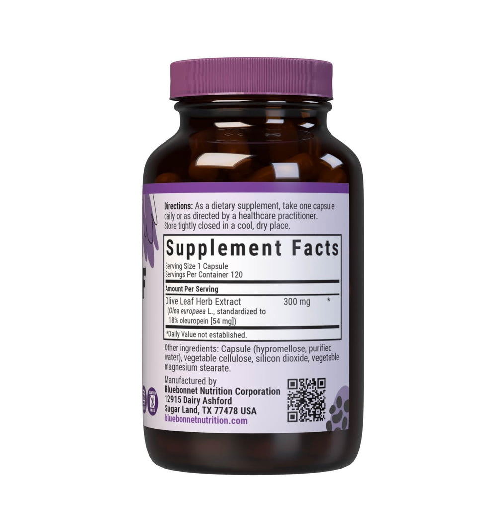 Close-up of Olive Leaf Herb Extract label showing 300 mg extract