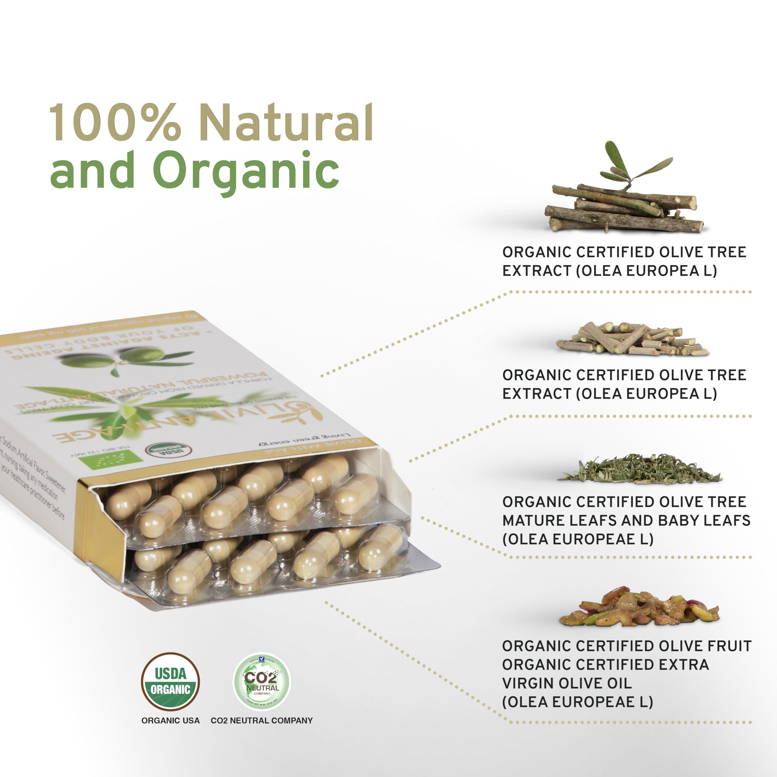 Organic olive leaf and olive fruit components for the supplement