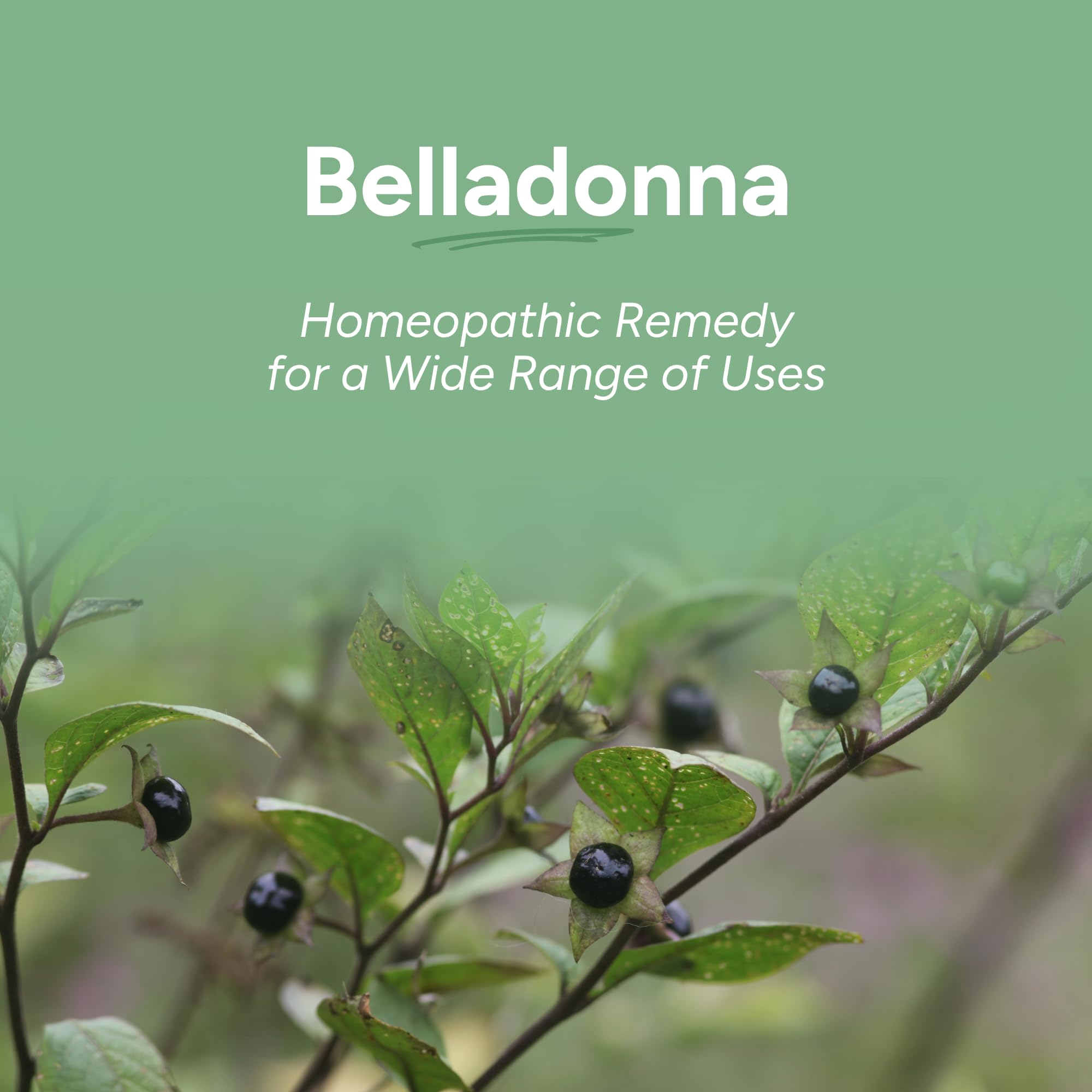 Organic Belladonna 30C single medicine packaging and branding