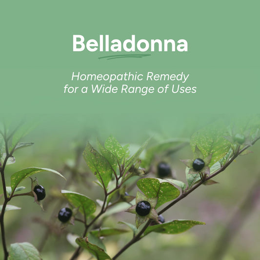 Organic Belladonna 30C single medicine packaging and branding