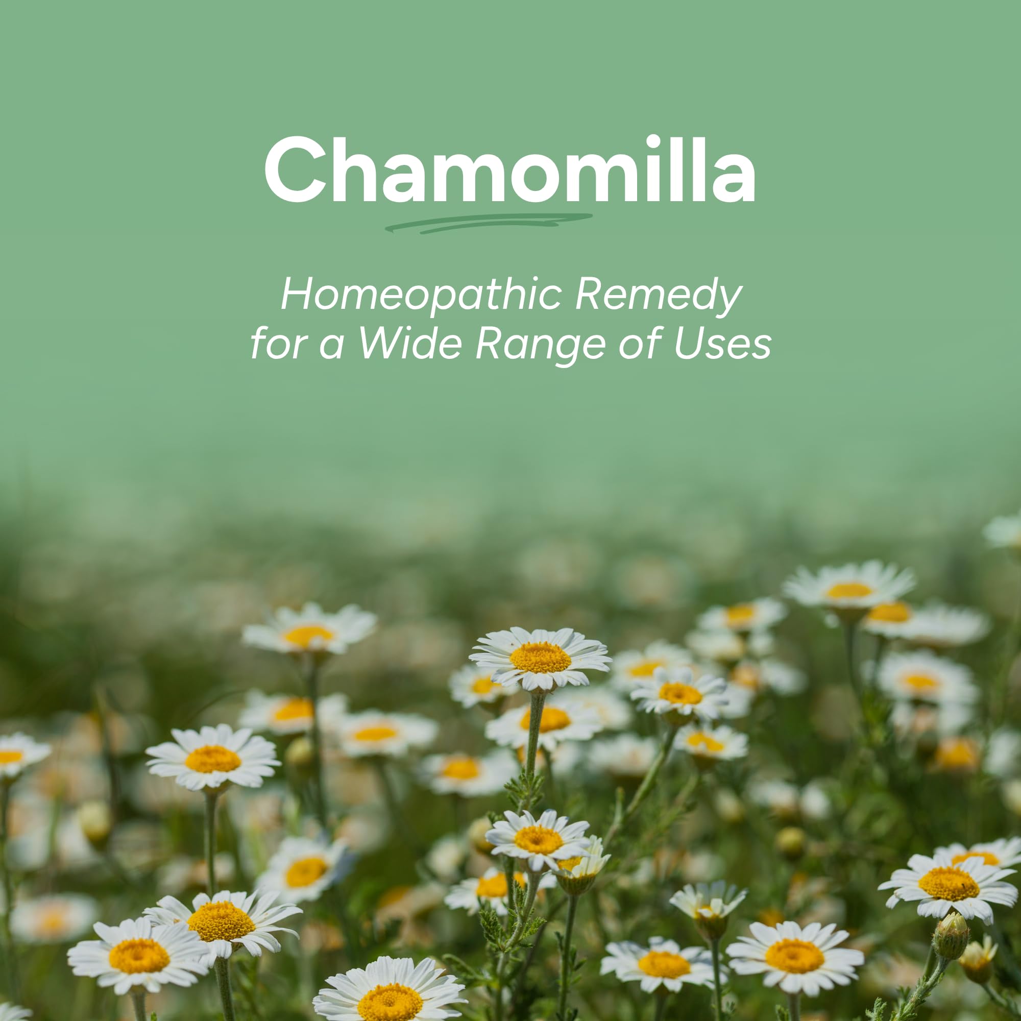 Organic certification label on OLLOIS Chamomilla 200ck