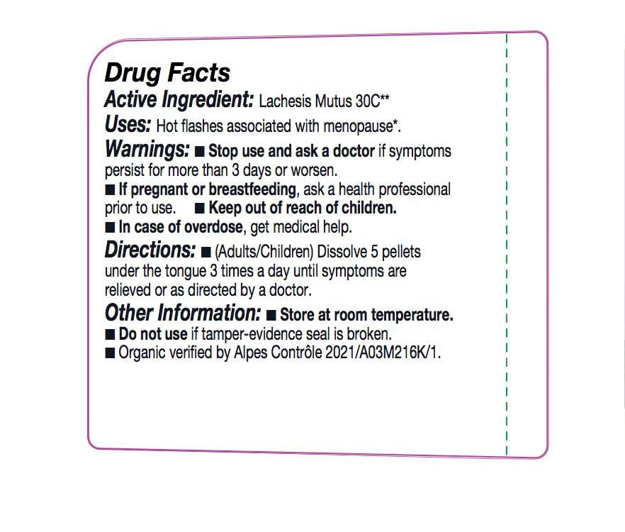 Lactose-free organic homeopathic medicine by OLLOIS