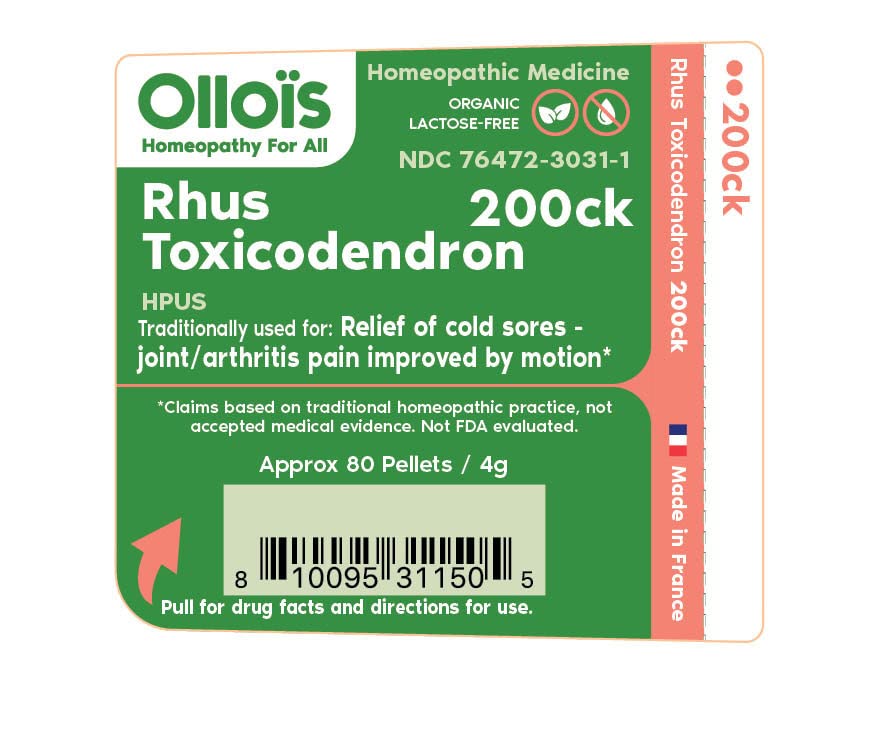 Close-up of Rhus Toxicodendron 200ck pellets