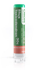 Front view of OLLOIS Rhus Toxicodendron 30c 80-pellet pack