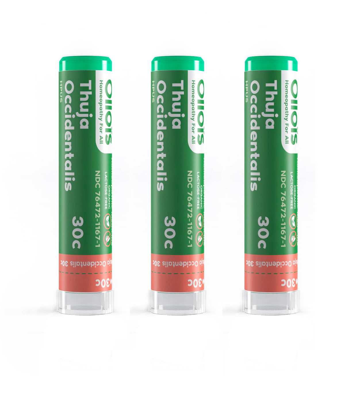 Front view of OLLOIS Thuja Occidentalis 30c pack of 3 with 80 pellets