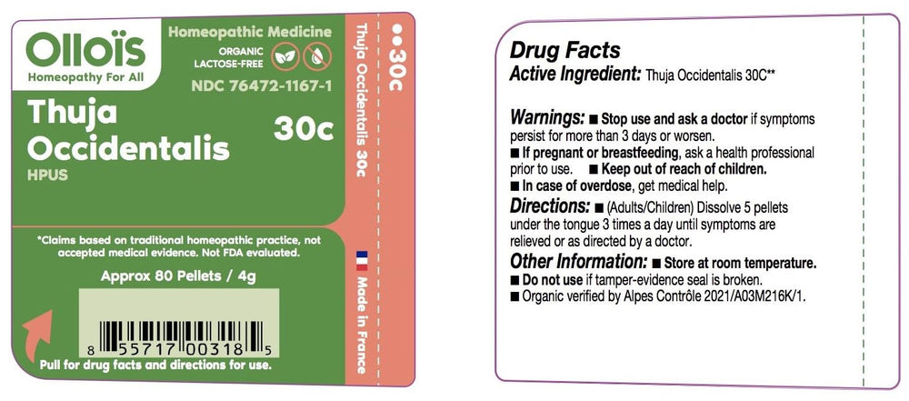 OLLOIS Thuja Occidentalis 30c packaging and bottle close-up