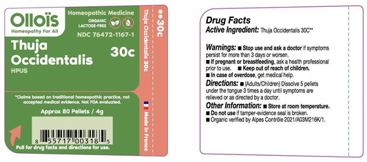 OLLOIS Thuja Occidentalis 30c packaging and bottle close-up