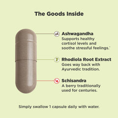 Schisandra berries included in OLLY Chill adaptogen blend.