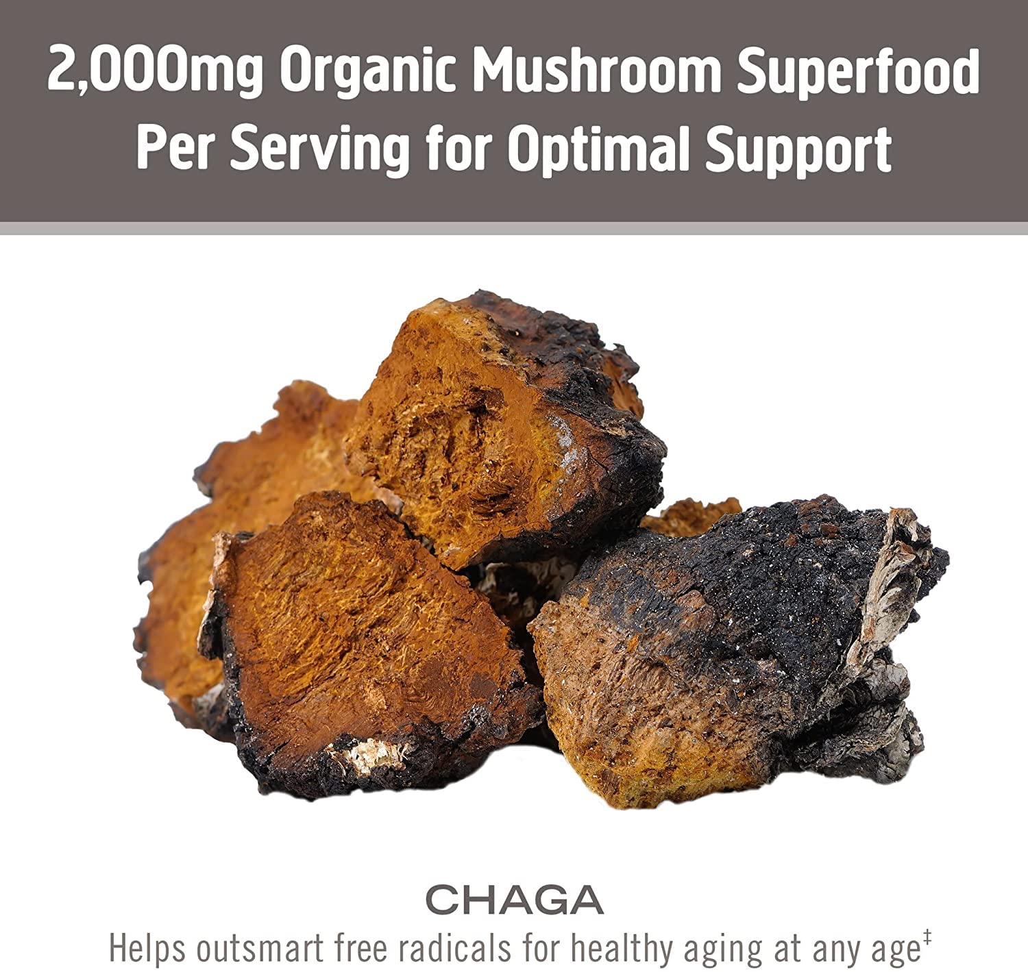 Om Mushrooms USA grown organic mycelial biomass