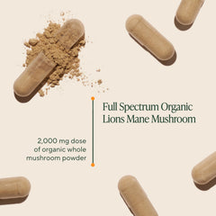 Close-up of Om Lion’s Mane capsules