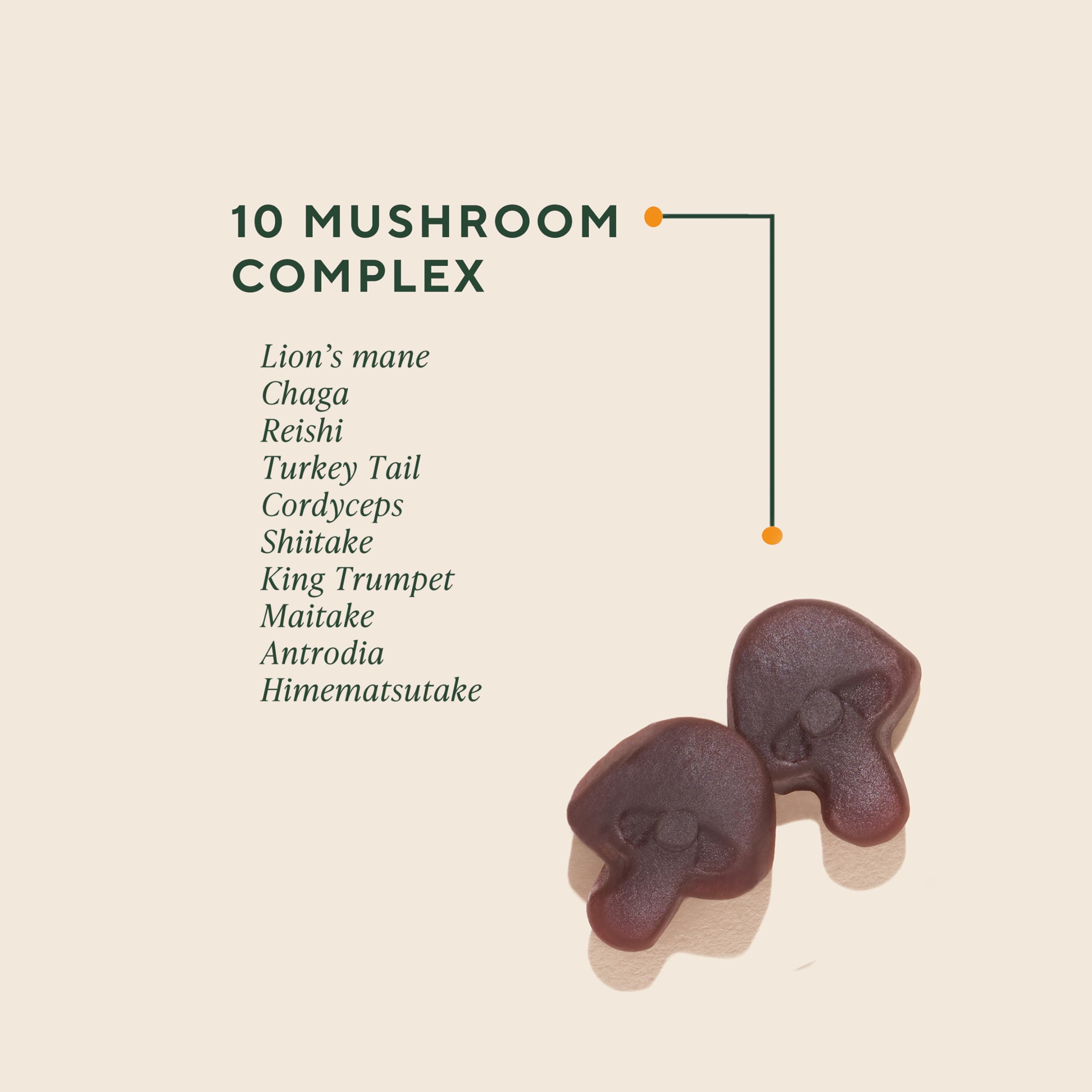KSM-66 Ashwagandha for stress relief