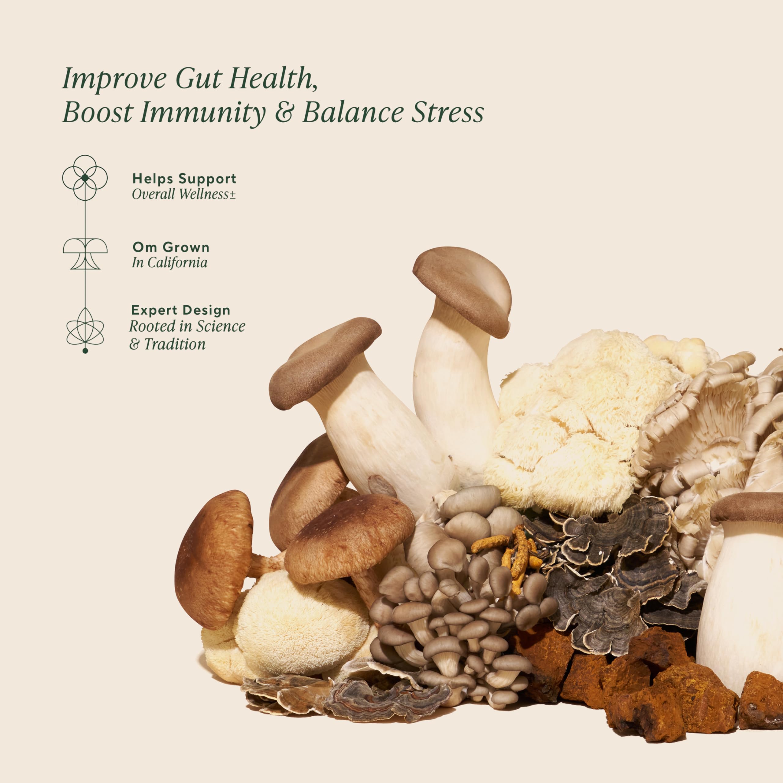 Organic, no filler: mycelial biomass on organic oats
