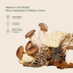 Organic, no filler: mycelial biomass on organic oats
