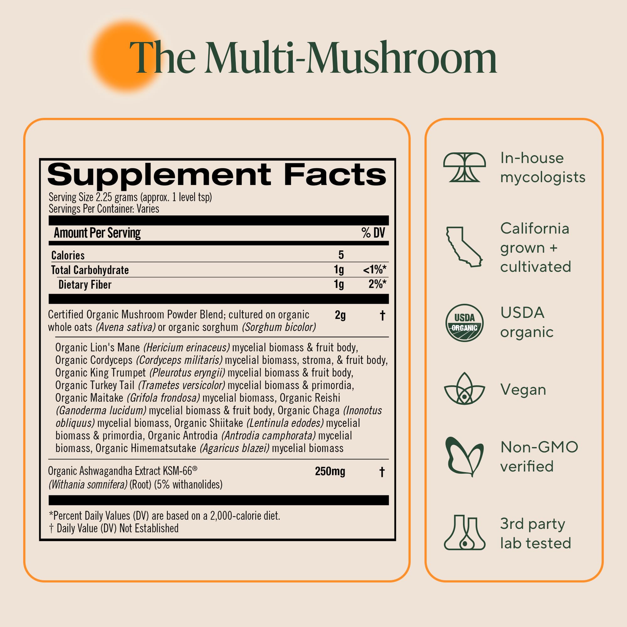 Close-up of 10 mushrooms used in the blend including lion's mane and reishi