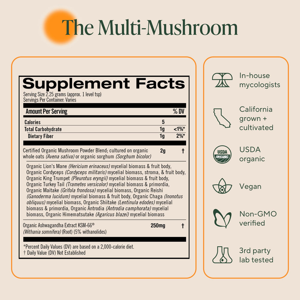 Close-up of 10 mushrooms used in the blend including lion's mane and reishi