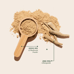 KSM-66 Ashwagandha root and powder for stress relief