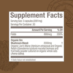 Mushroom full-spectrum ingredients used in capsules