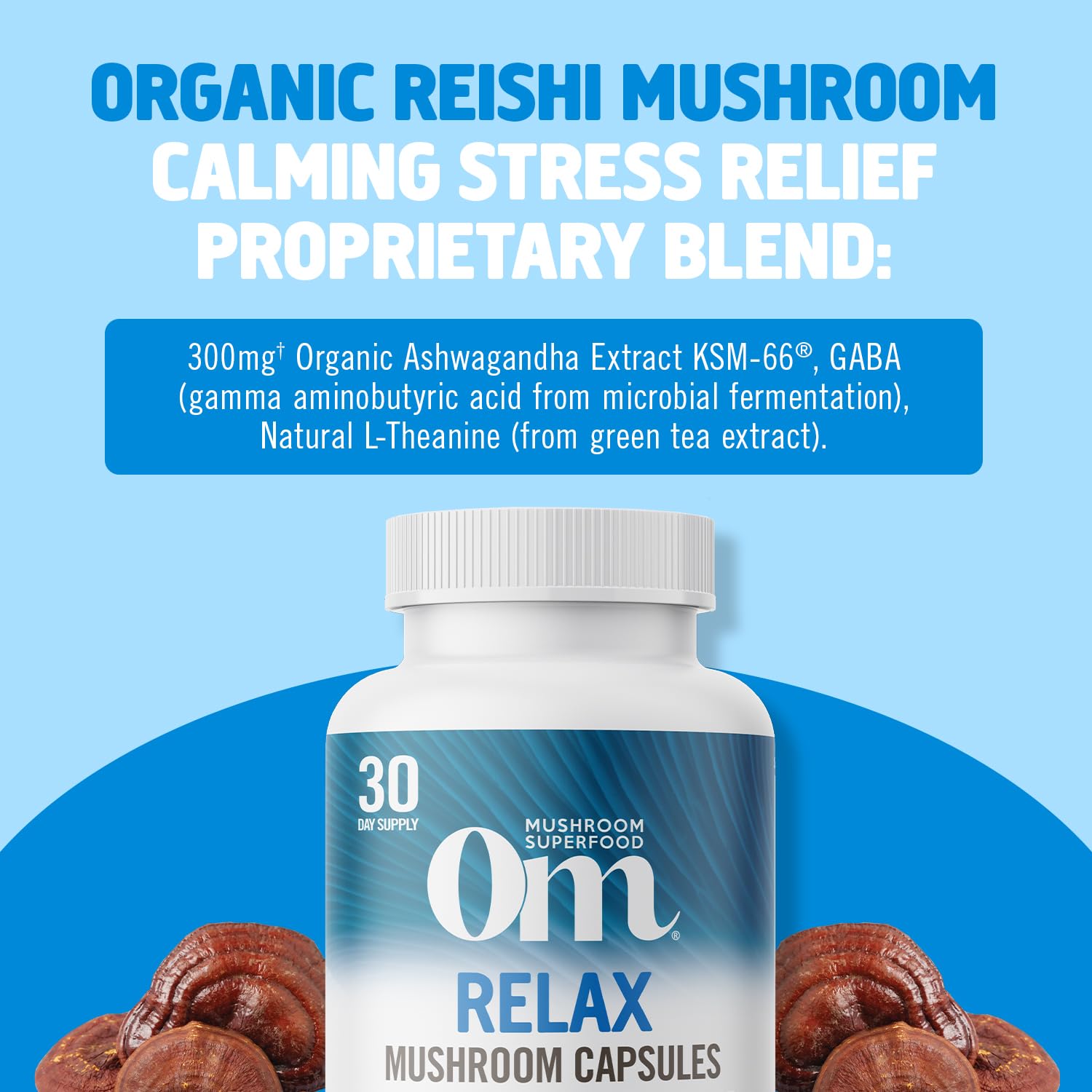 Close-up of GABA, L-Theanine and Magnesium as key ingredients in Relax capsules.