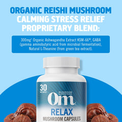Close-up of GABA, L-Theanine and Magnesium as key ingredients in Relax capsules.