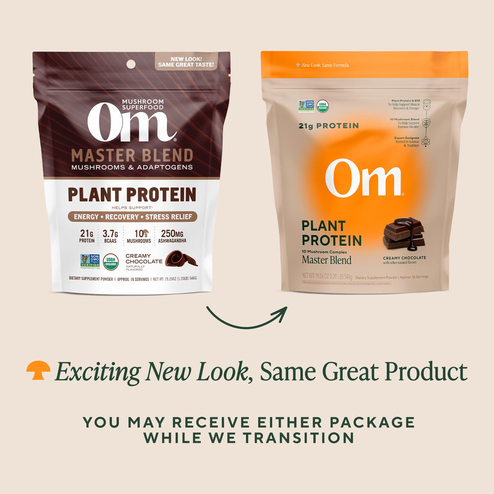 Chocolate flavor OM Mushroom Superfood Master Blend protein powder with scoop