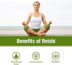 Close-up of the Reishi powder label highlighting organic certification