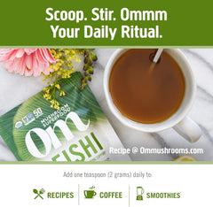 Organic mycelial biomass cultured on oats visual