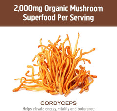 Organic mycelial biomass used in Cordyceps powder